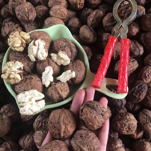 昆明青皮核桃  核桃【优惠包邮】老树核桃！要多吃核桃