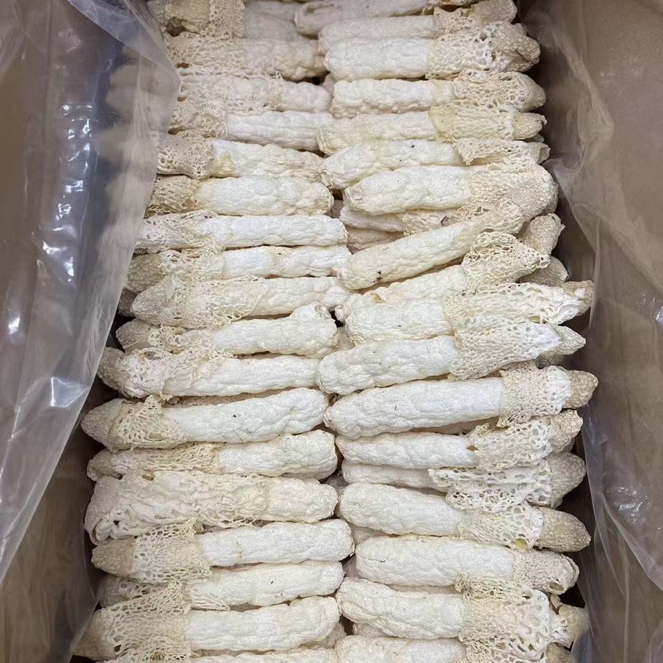 贵州竹荪 红托竹荪 织金竹荪 短裙竹荪 贵州竹荪干货