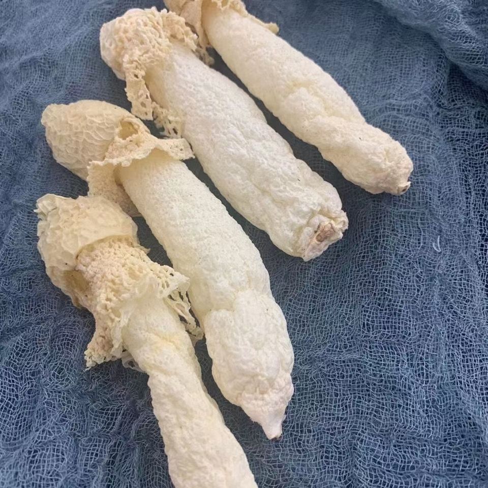 贵州竹荪 红托竹荪 织金竹荪 短裙竹荪 贵州竹荪干货