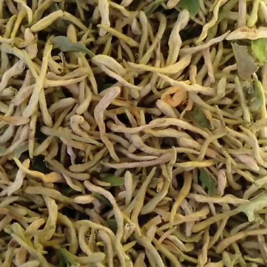 山阳县商洛地产金银花，自然晾晒，花香，货干，统货，选货供应，