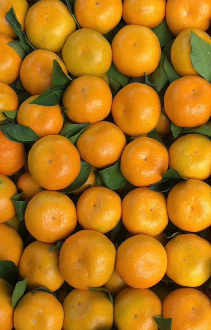 湖南常德早熟蜜桔皮薄肉嫩甘甜可口