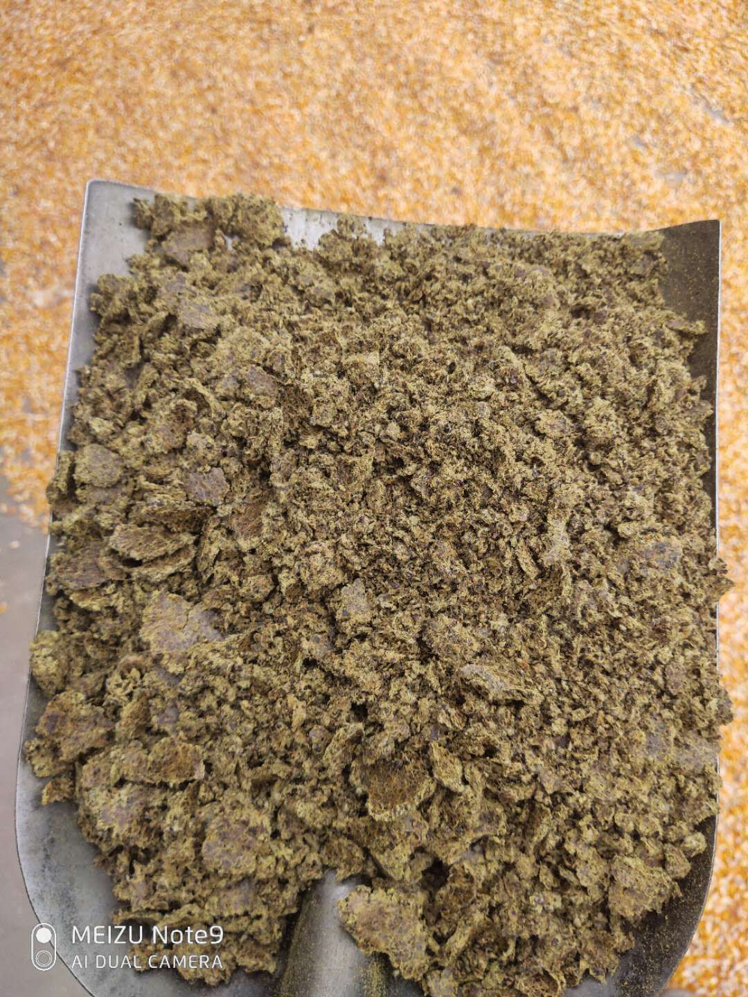 饼粕饲料 牛 羊