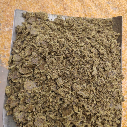 哈密饼粕饲料 牛 羊
