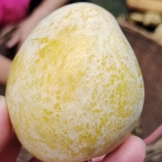 连州市黄金奈李