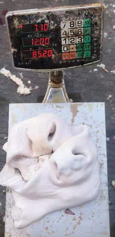 铜仁牛嘴巴  牛鼻子