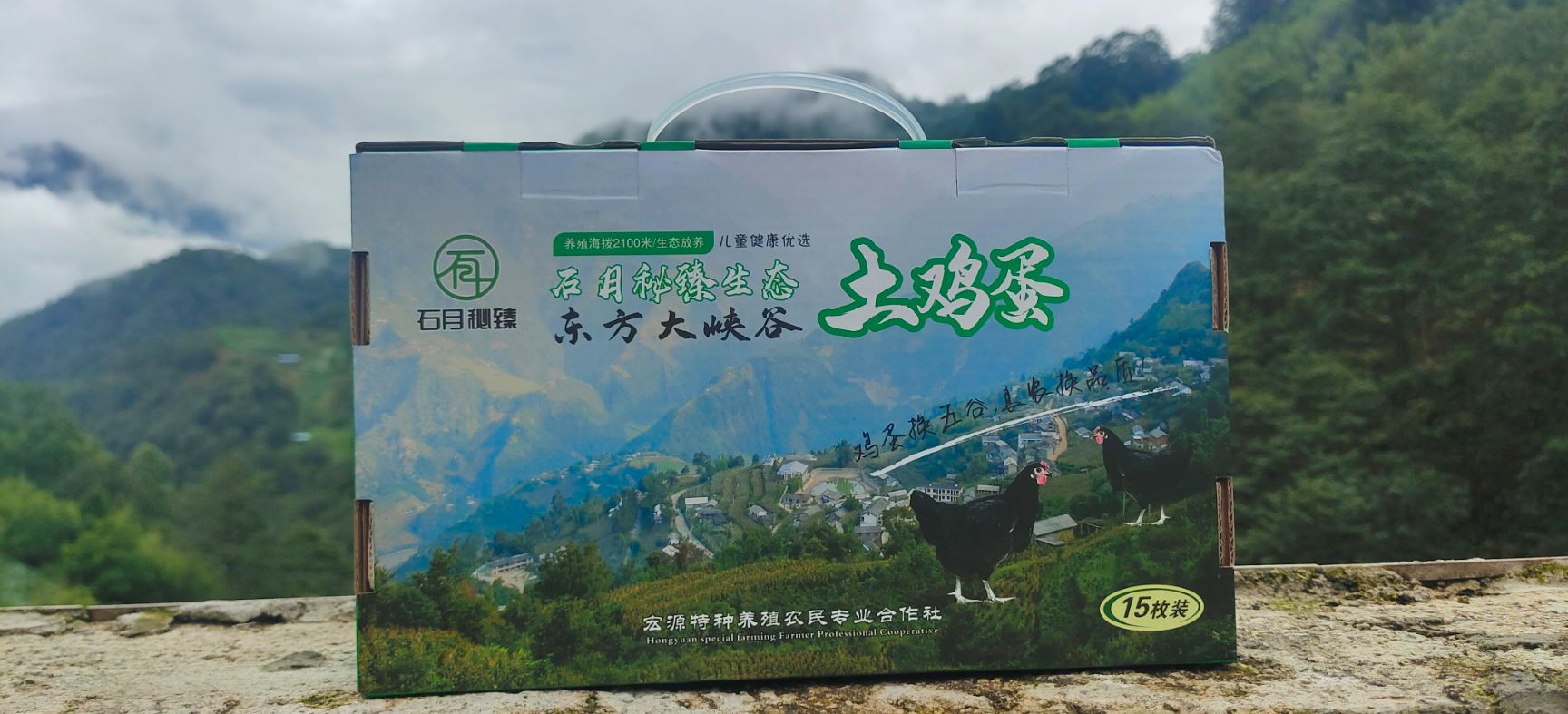  五黑鸡