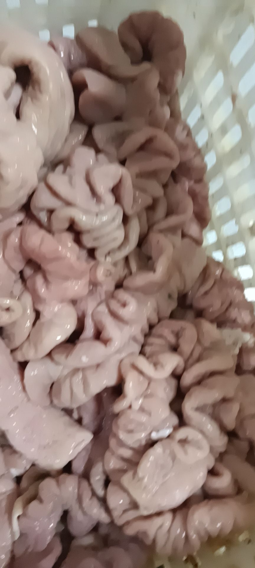   ʳӹˮ󳦣ʮ