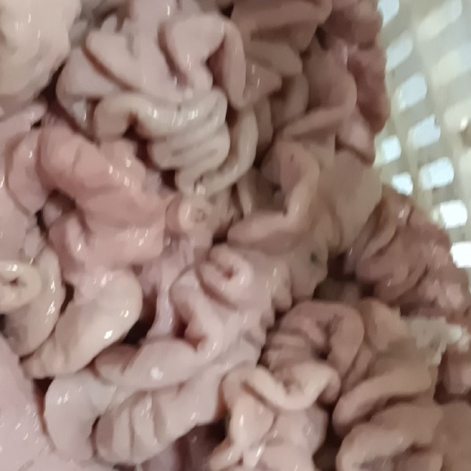 猪肠  丰县香里香熟食加工，白水猪大肠，十成熟