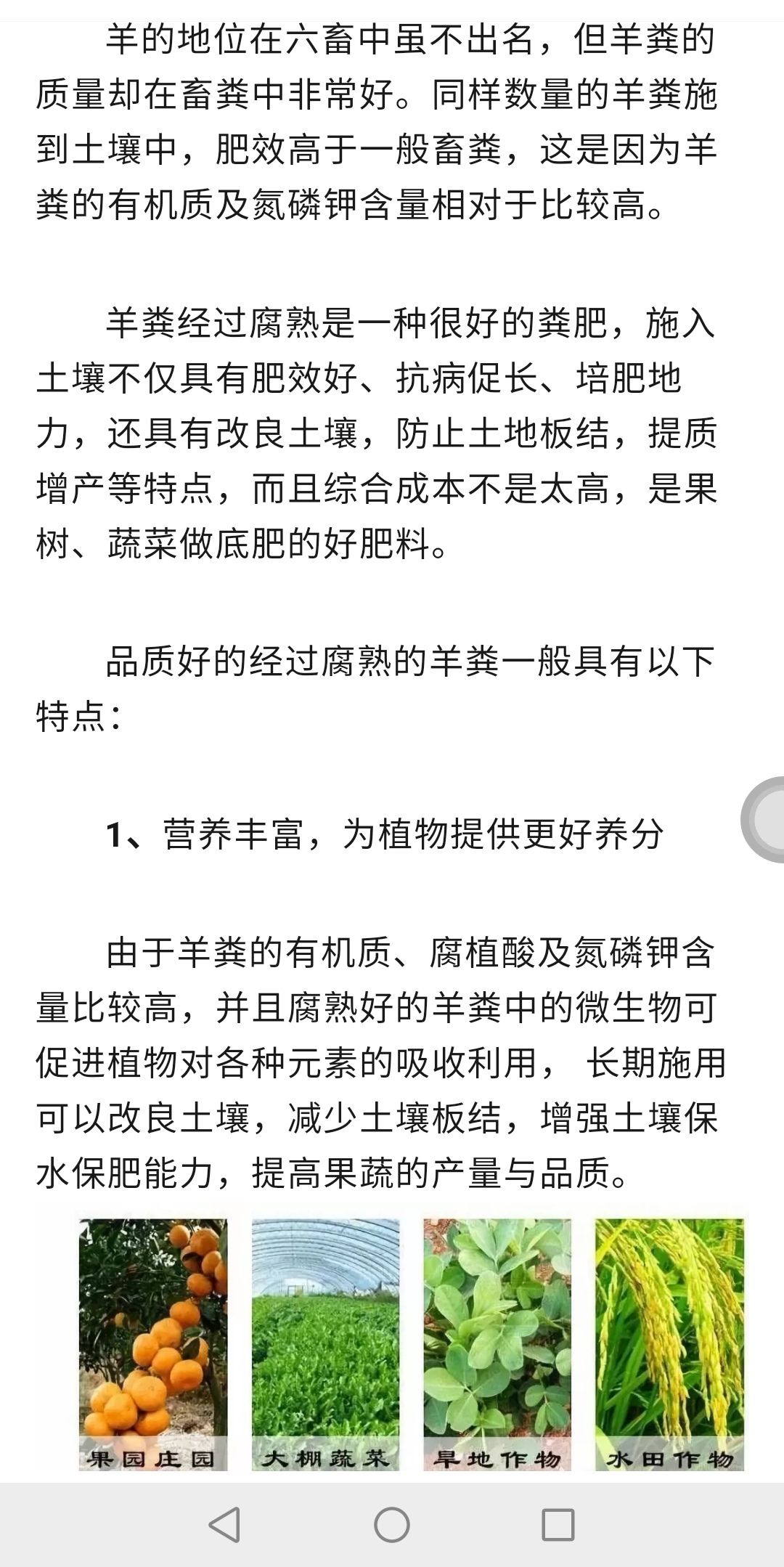羊粪有机肥  有机质   氮磷钾  微量元素  有益菌发
