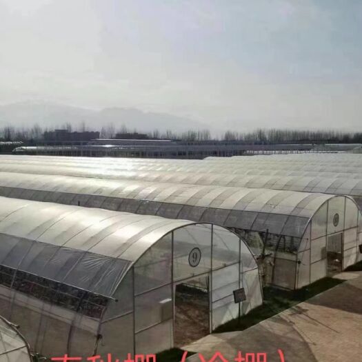 德州种植大棚  冷棚
