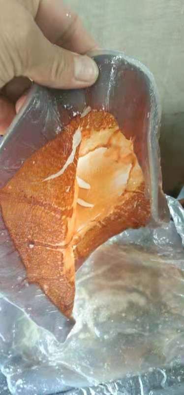 海蜇皮红太阳