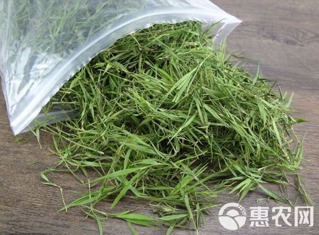 竹叶茶 颜色漂亮 竹叶青茶 绿茶 大量批发 货发全国