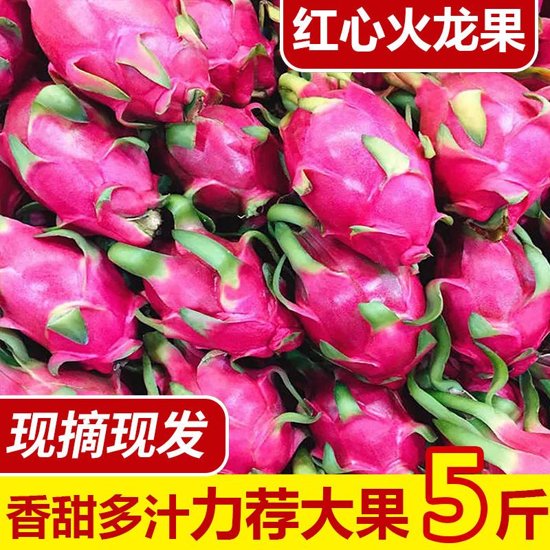 广西新鲜火龙果 当天采摘直发 武鸣原产地直销
