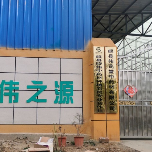岷县黄芪圆片中药材 黄芪片0.5-0.8甘肃原产地批发直供包邮