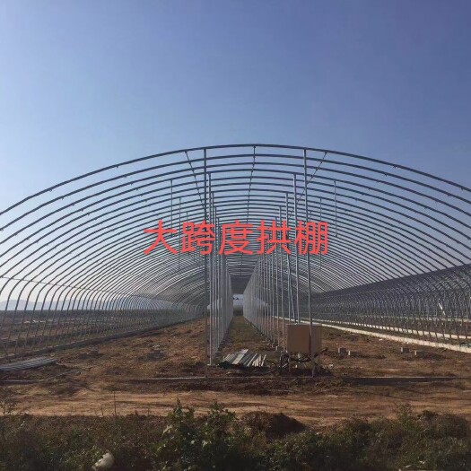 德州种植大棚  专业建设各种智能温室大棚园区规划园区运营无土栽培