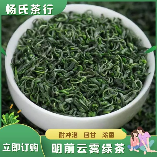 云雾茶  2024年明前高山云雾绿茶 早春新茶炒青日照绿茶