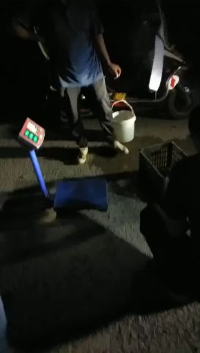 金蝉  出售唐僧肉知了猴