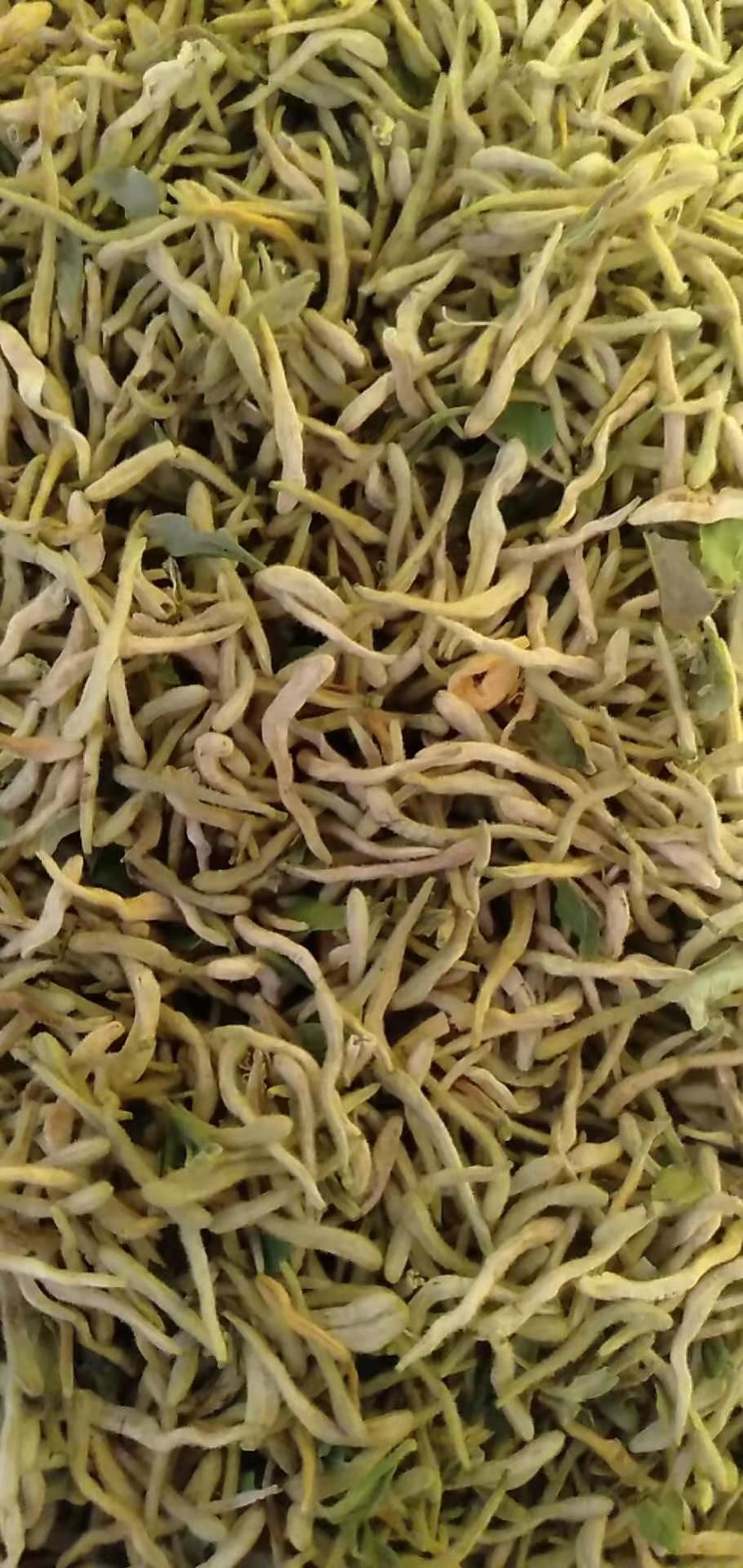 商洛产地金银花供应，需要连系，