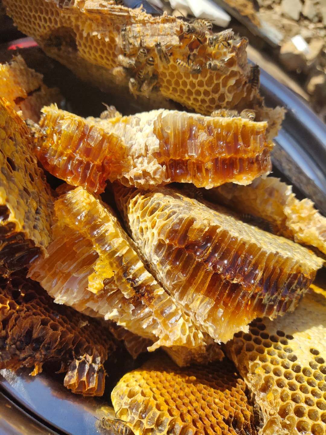 承德深山土蜂蜜