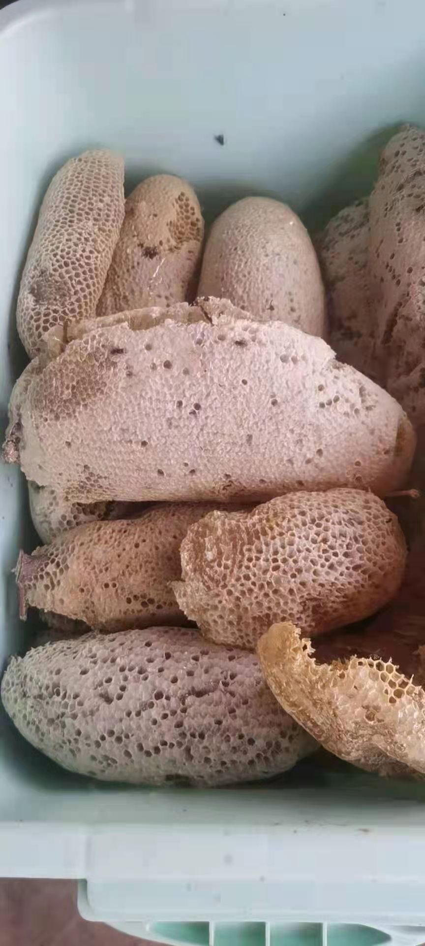 野蜂蜜 云南茶山蜂蜜