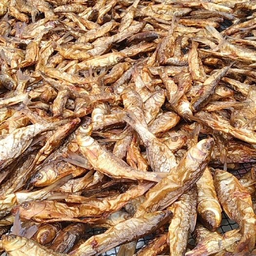 衢州黄鱼干 12-18个月