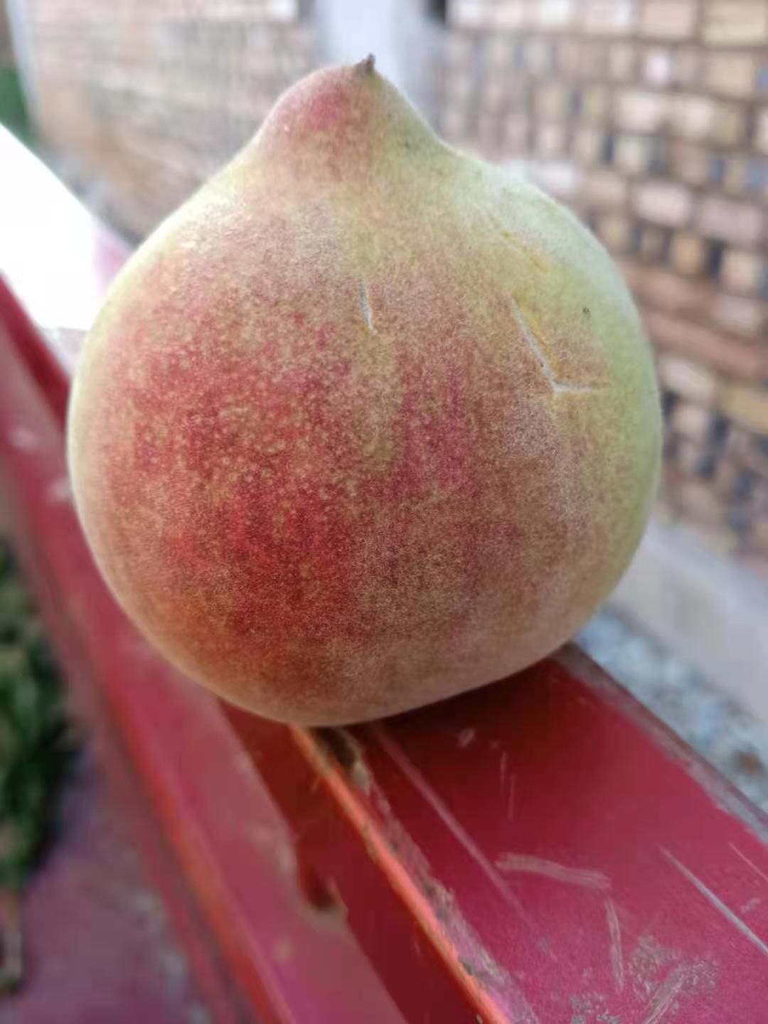  云南文山鹰嘴蜜桃