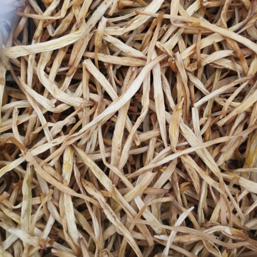 郑州银江金针菜  黄花菜，直条菜，