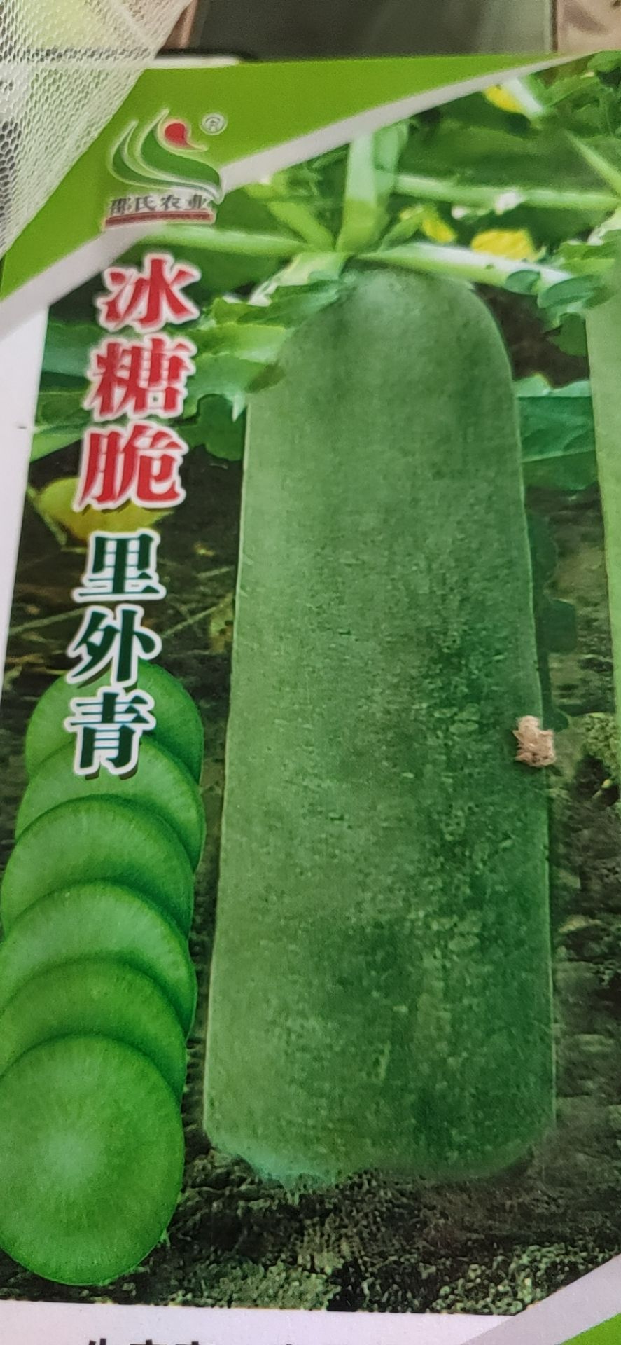  水果萝卜种子