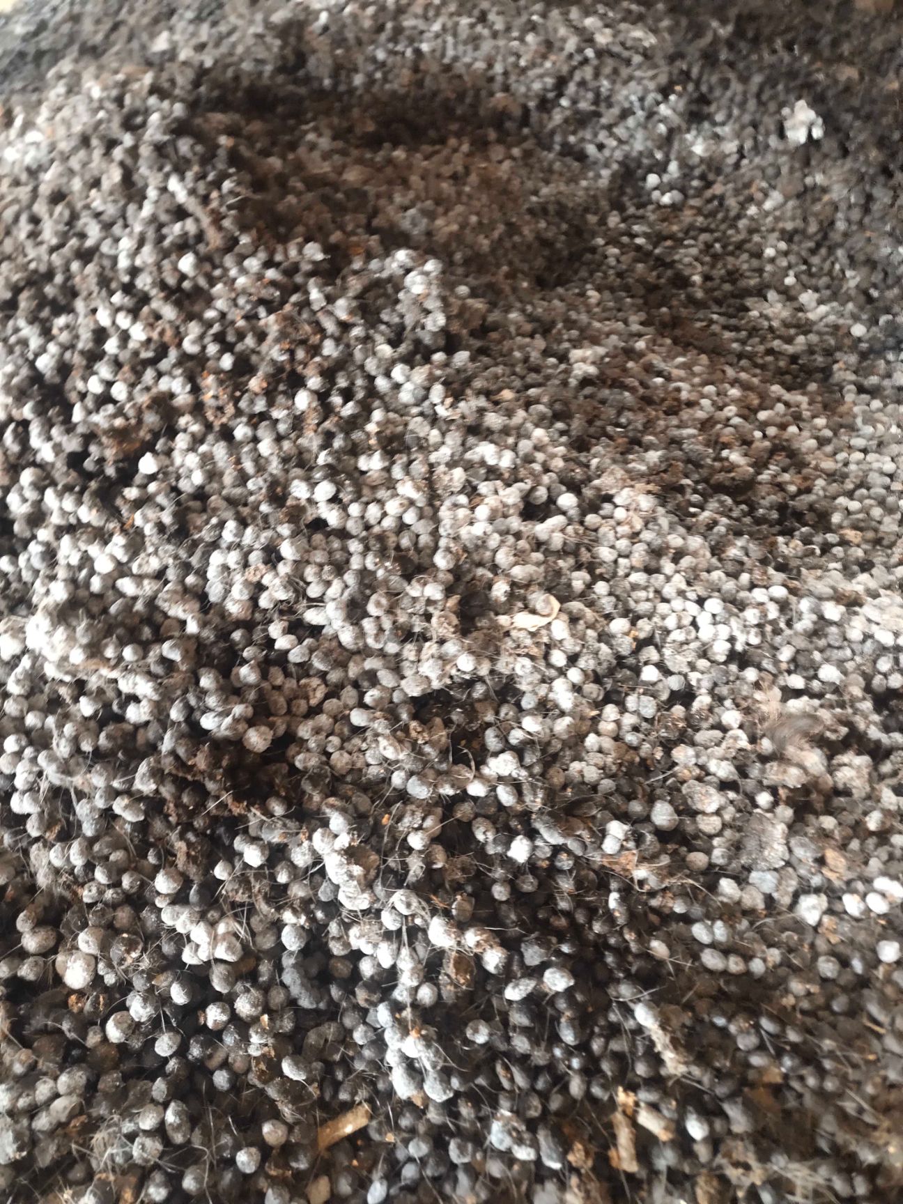 羊粪蛋羊粪球腐熟羊粪发酵羊粪肥有机肥改善土壤结构