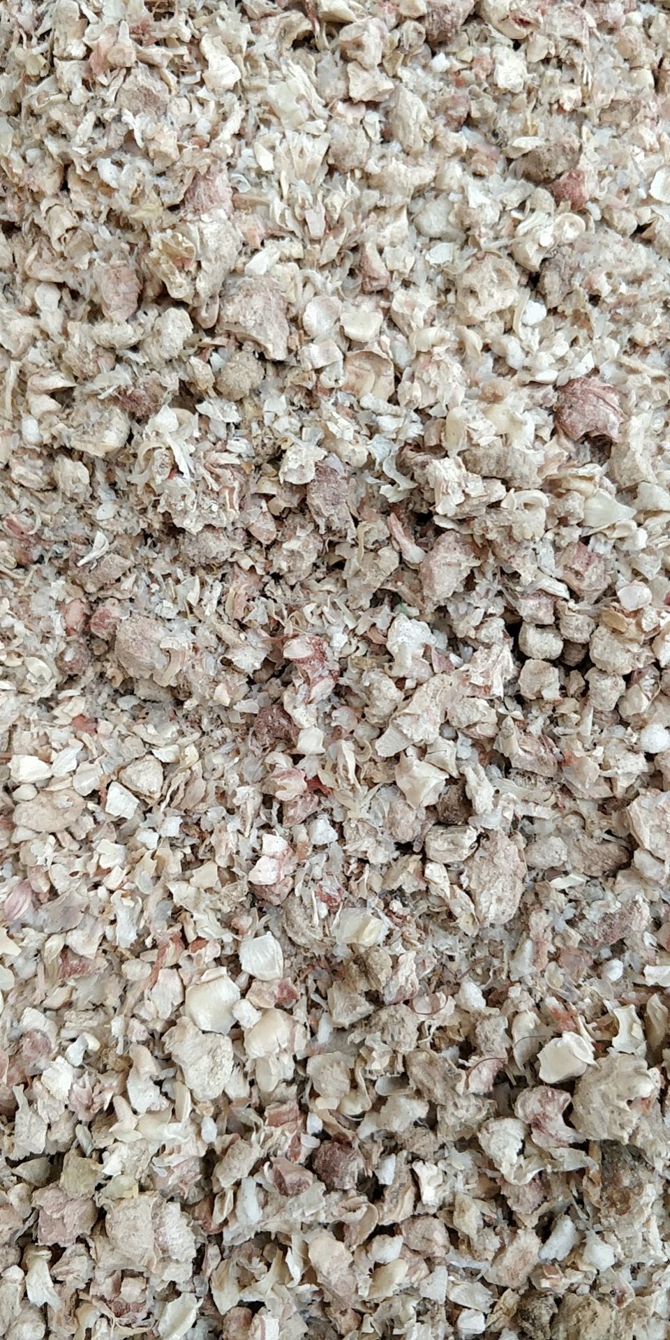 玉米芯