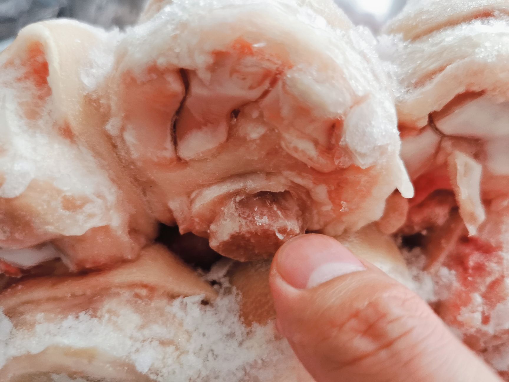 猪蹄  带筋猪手20斤 带筋前蹄 猪前蹄 猪爪 猪脚 精品