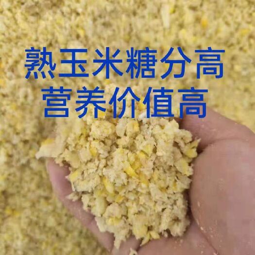 新乐市饲料发酵剂  发酵熟玉米（适合喂鸡鸭鹅猪牛羊）