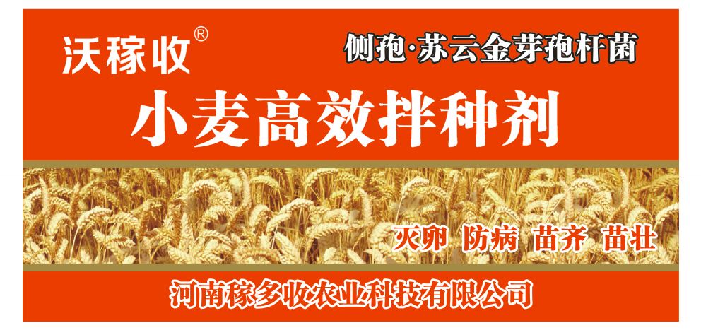  微生物菌剂菌肥