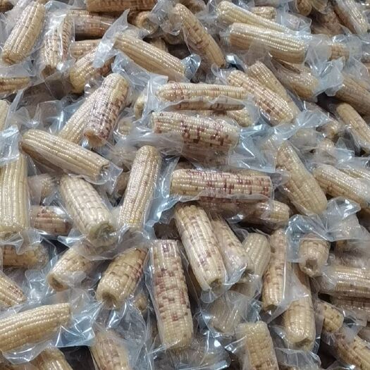 永德县代发云南西双版纳香糯小玉米即食包谷新鲜真空糯玉米包邮