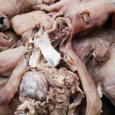 牛头肉