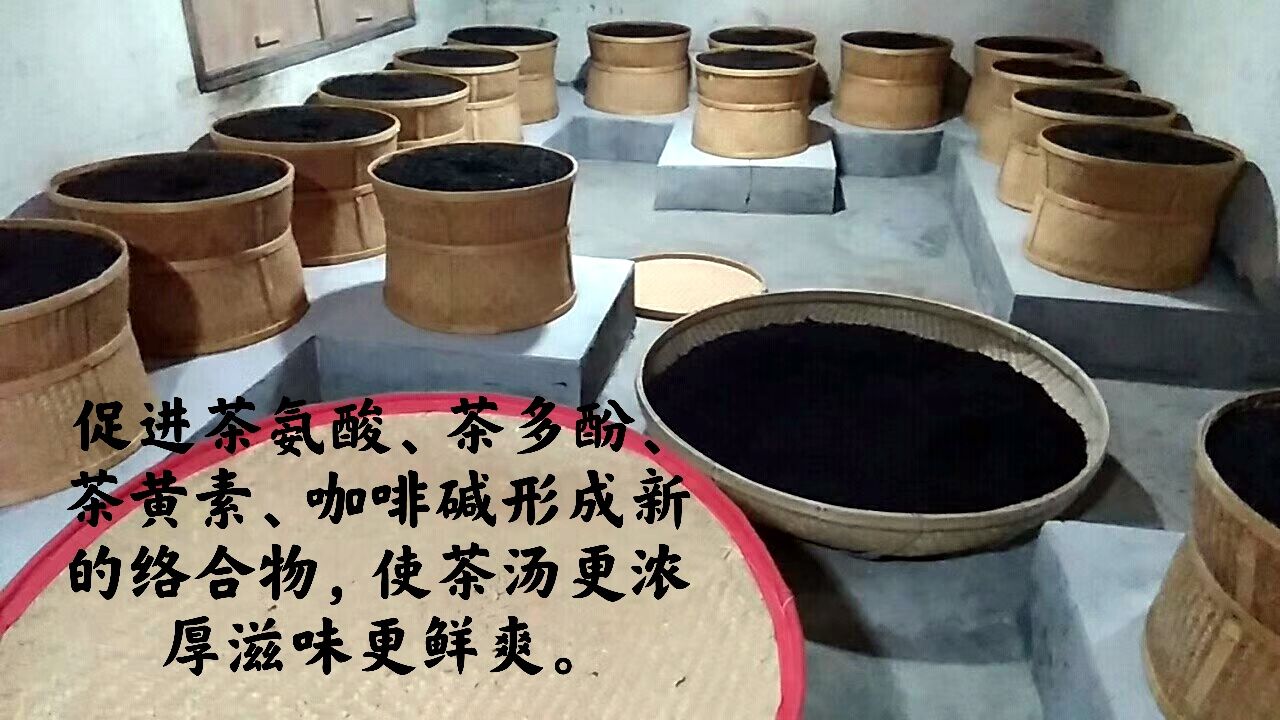 武夷山大红袍 2023新茶清香型大红袍出售当天发货福建乌龙茶