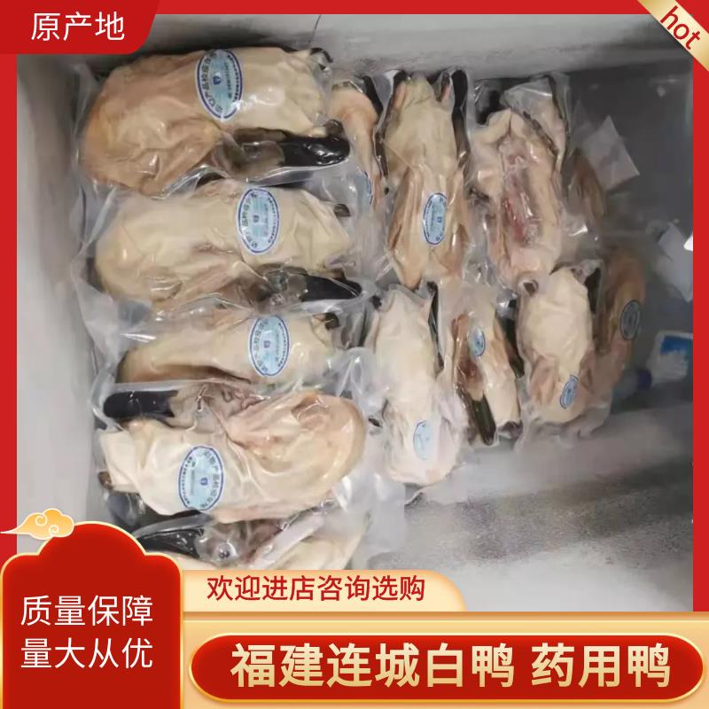 连城白鹜鸭【连城产地直发】鸭  白条鸭，各地招代