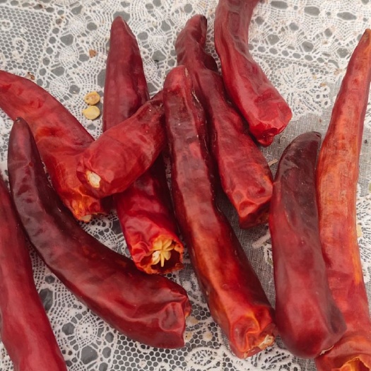 遵义朝天椒  《遵义辣椒》辣而不辛，老干妈原产地