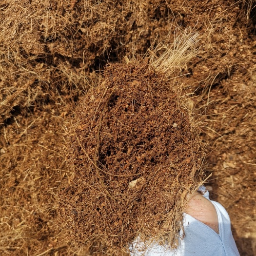 海口中椰糠，天然保湿，除草无公害纤维保湿除草…椰糠椰毛供货！