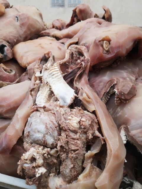牛头肉