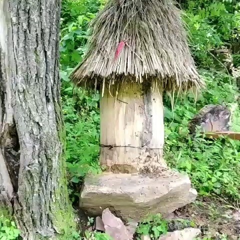 沈阳 东北农村纯正野蜂蜜