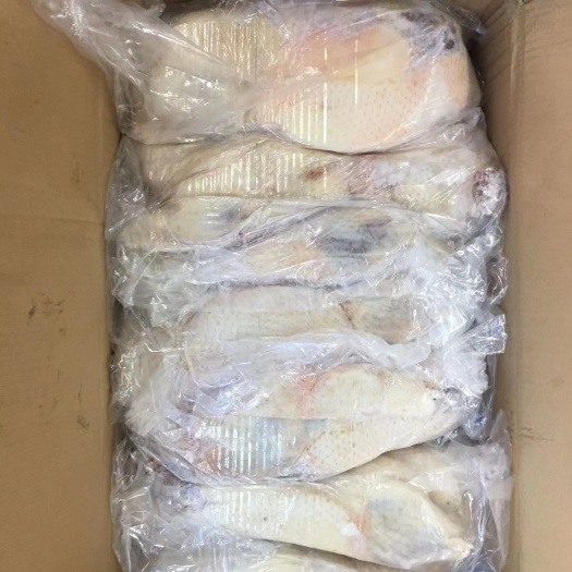 昆山市黑棕鹅 老鹅