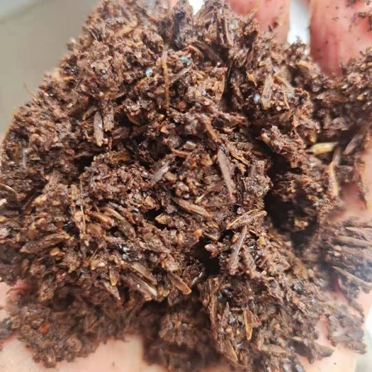 仁怀市贵州仁怀脆沙酒糟大量现货需要联系我