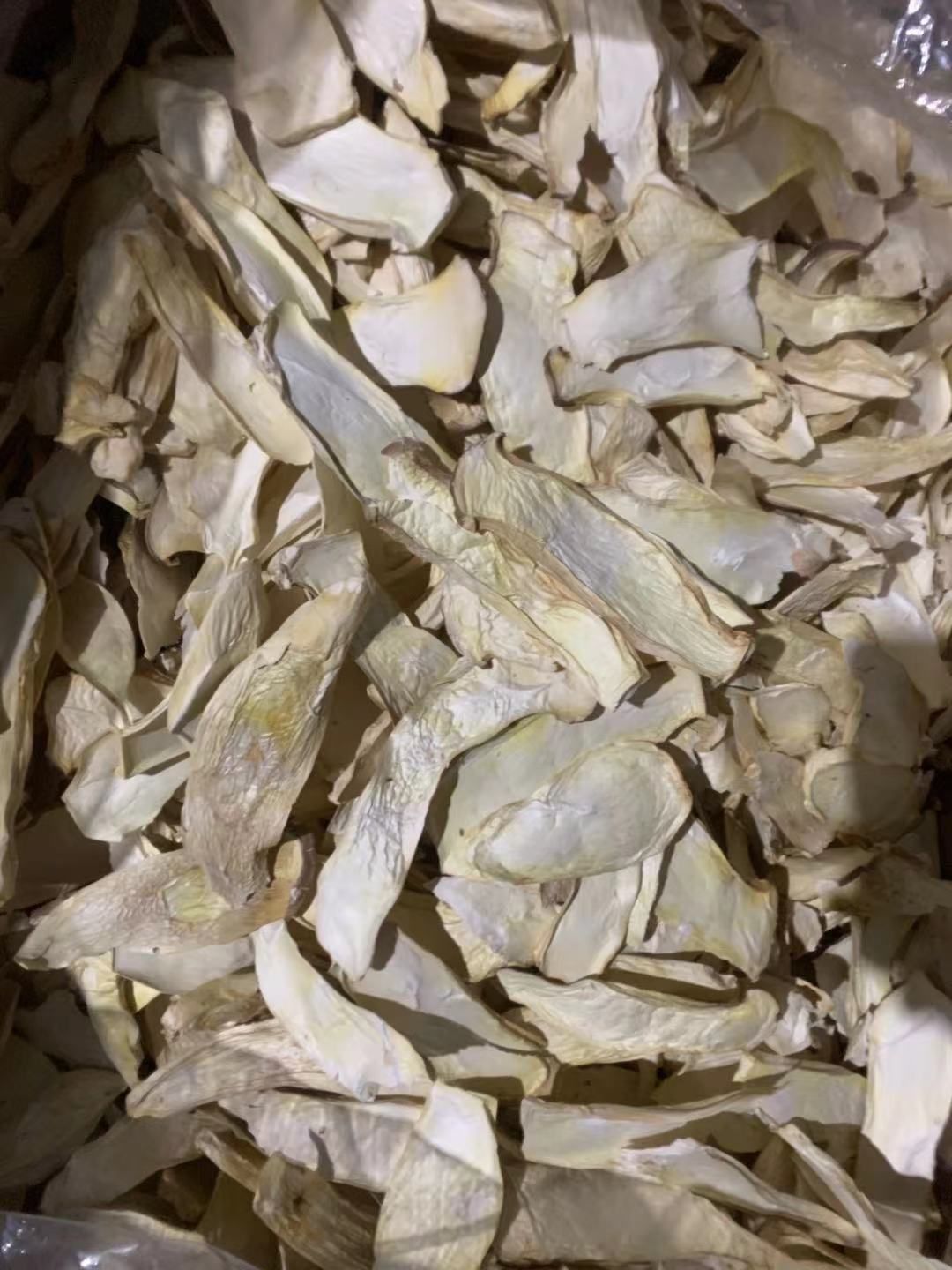 漳浦县杏鲍菇产地大货供应欢迎老板