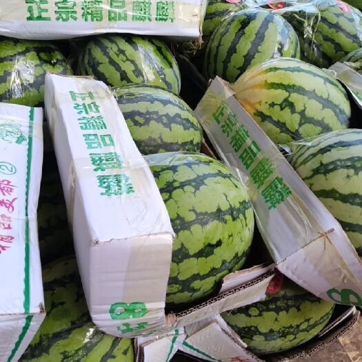 湘潭 河南开封美都西瓜
