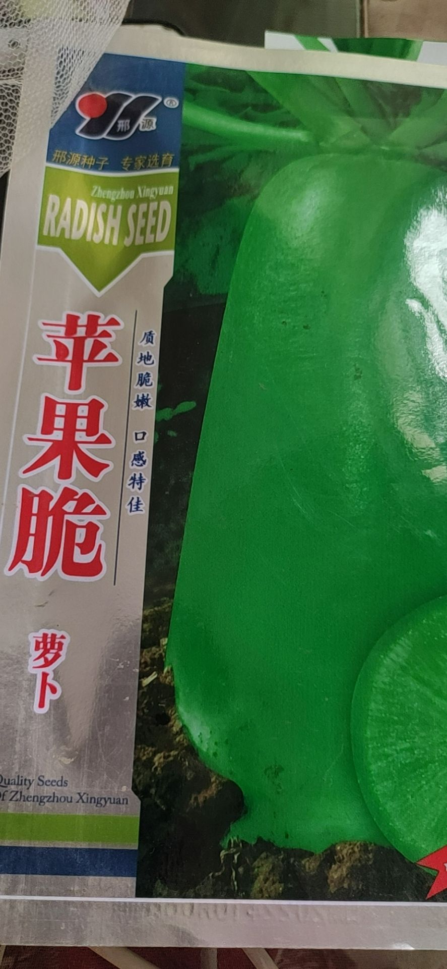  水果萝卜种子