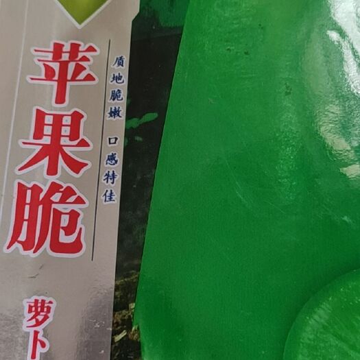 汤阴县 水果萝卜种子