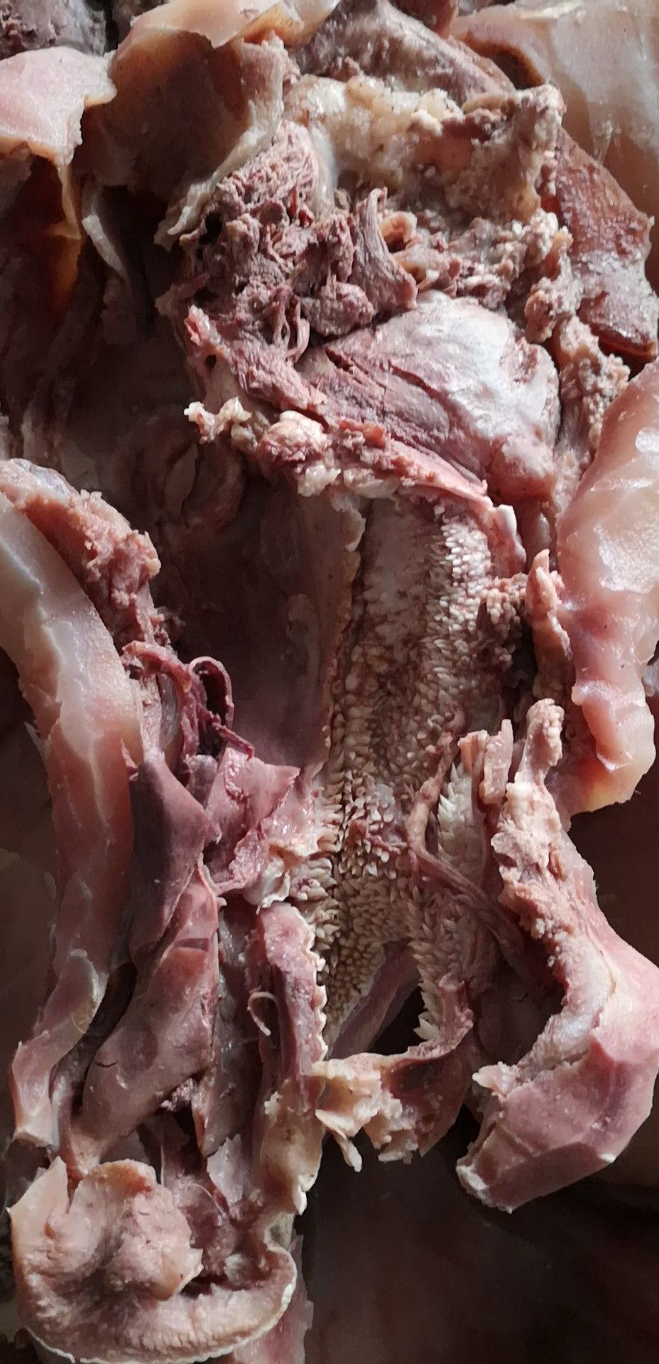 牛头肉