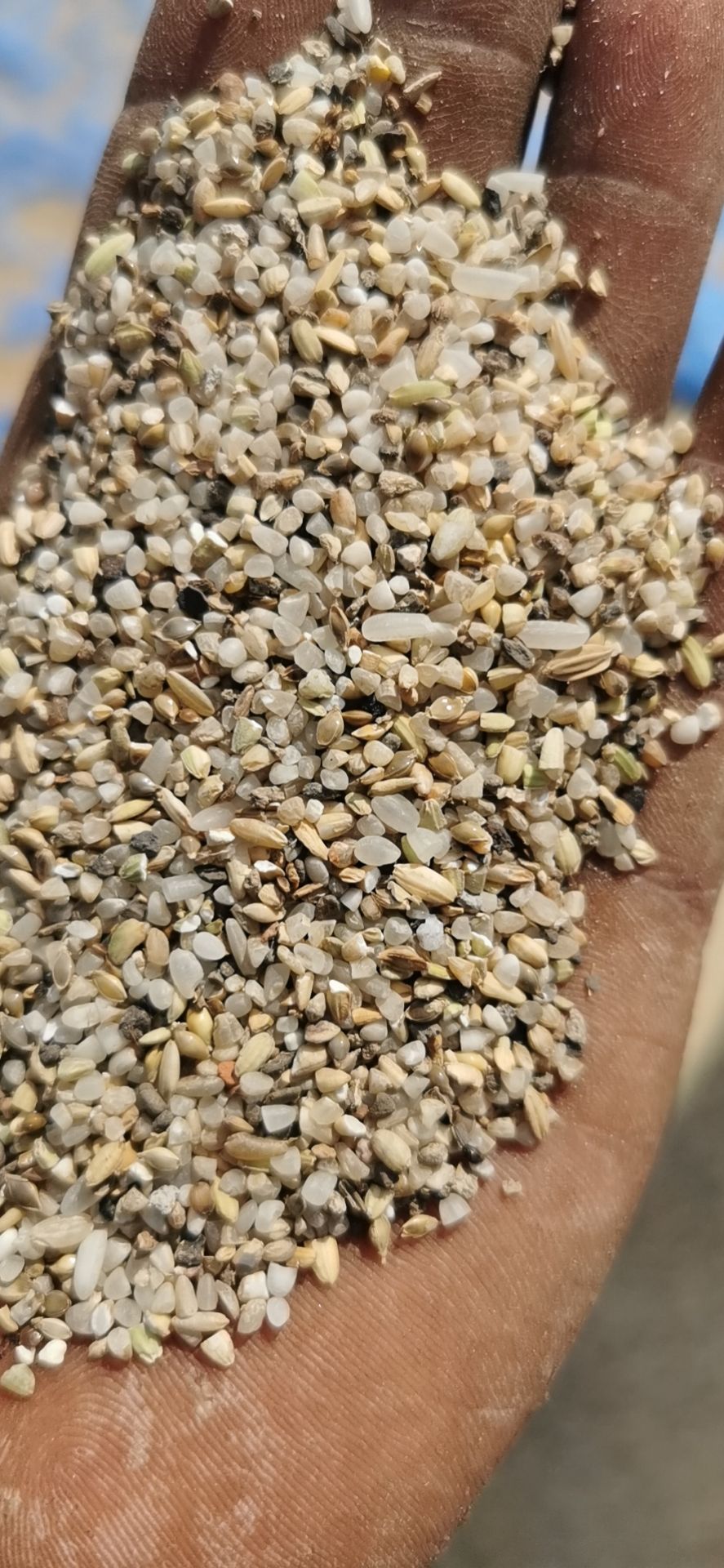 瘪稻谷  舒兰法特加工优质稻壳