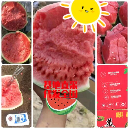 勐海县海南麒麟西瓜 大棚美都红度糖度高 一级头茬有籽及无籽头茬